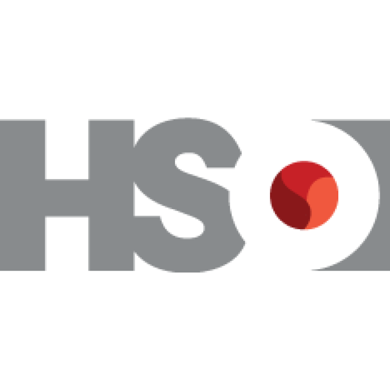HSO Health Standards Organization logo