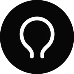 Solve Intelligence logo
