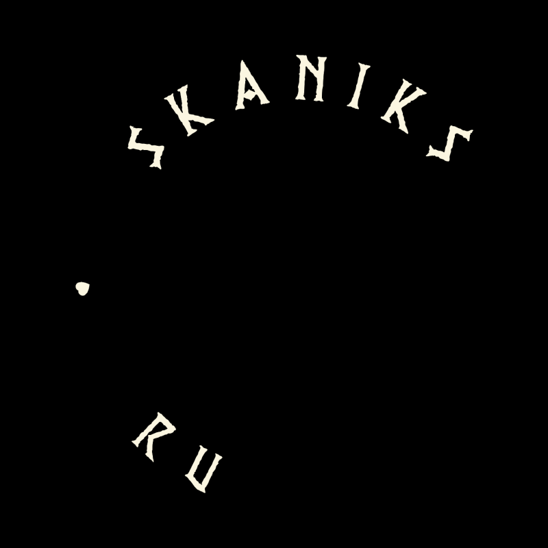 Skaniks Rusland LLC logo