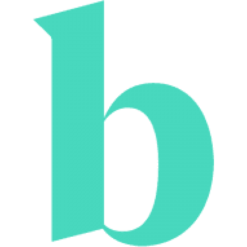 Brightflag logo