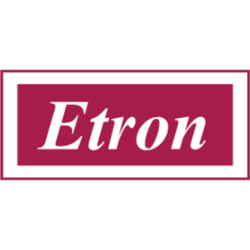 Etron Technology logo