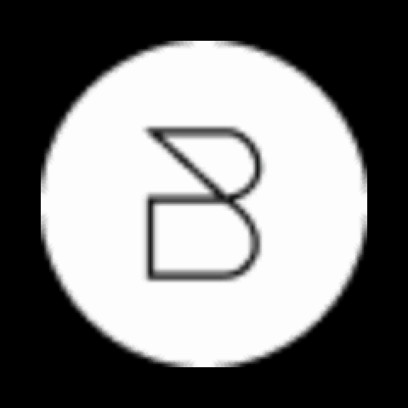 BOROSA logo