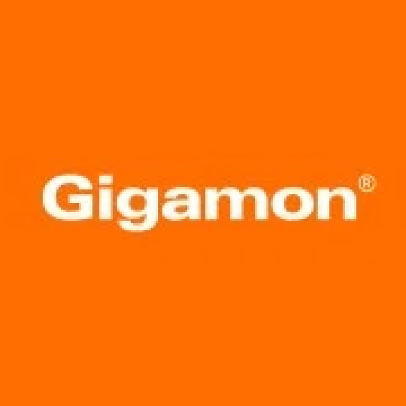 Gigamon logo