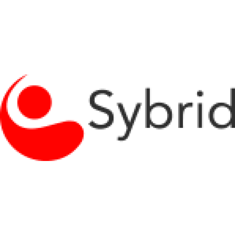 Sybrid logo