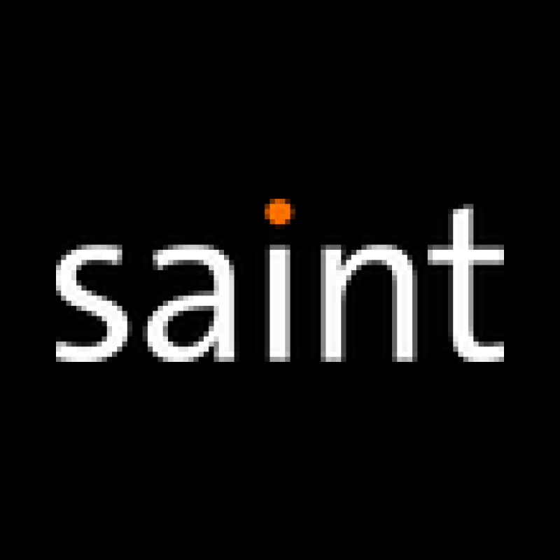 Saint logo