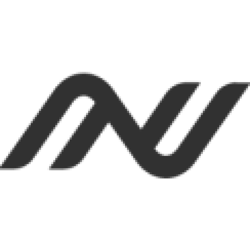 Newsan logo