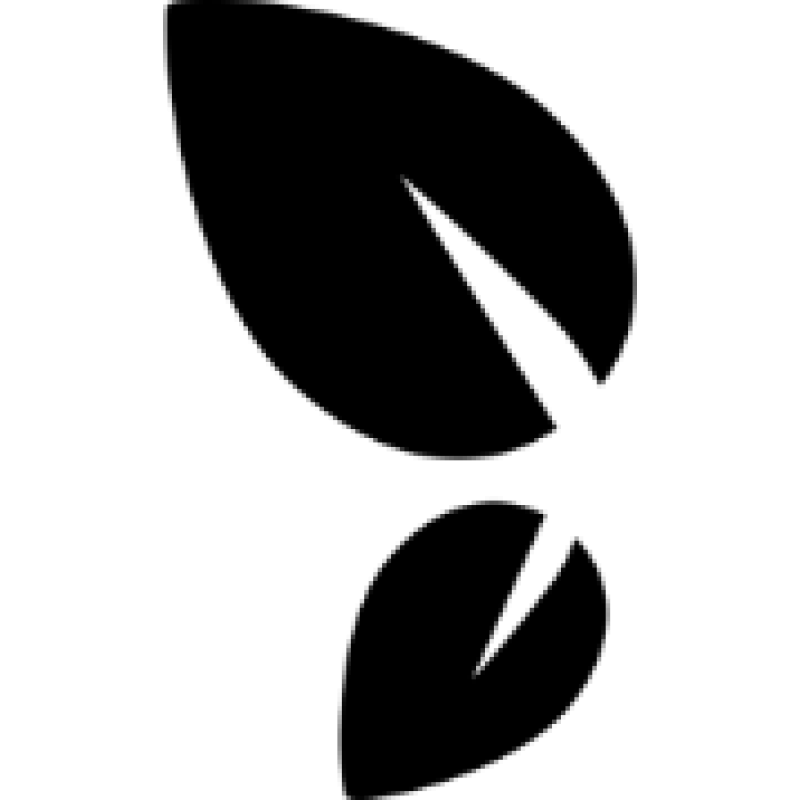 LEVCHUK PROFESSIONAL BrowXenna logo