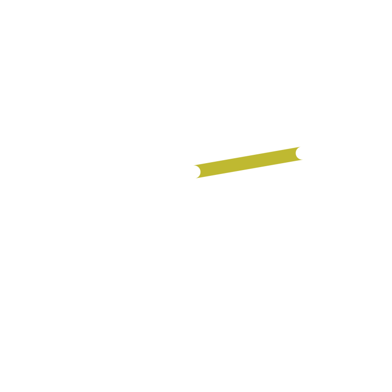 Studiosity logo