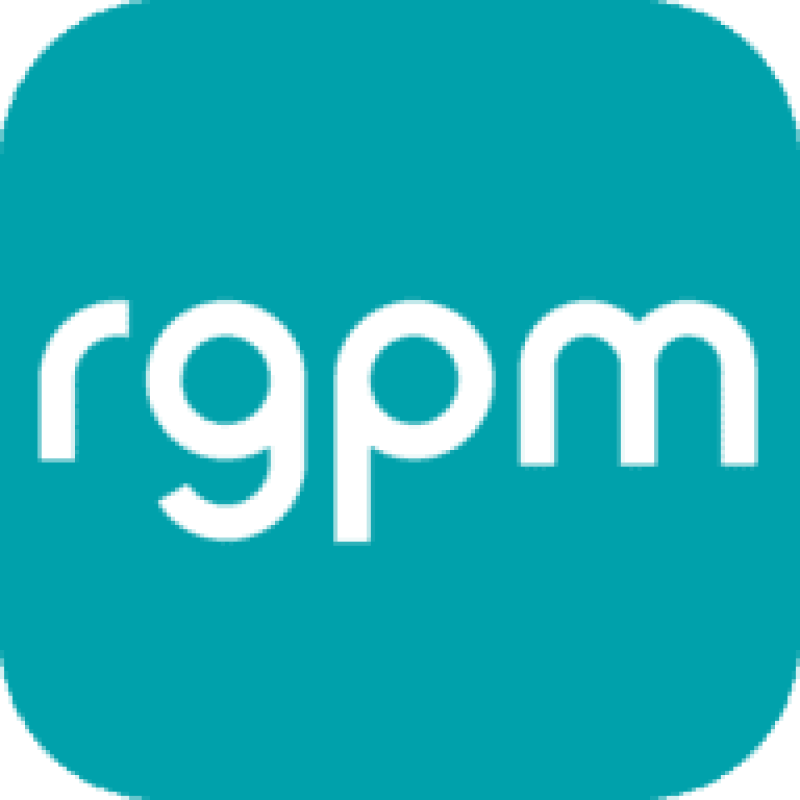Rebel's Guide to Project Management logo