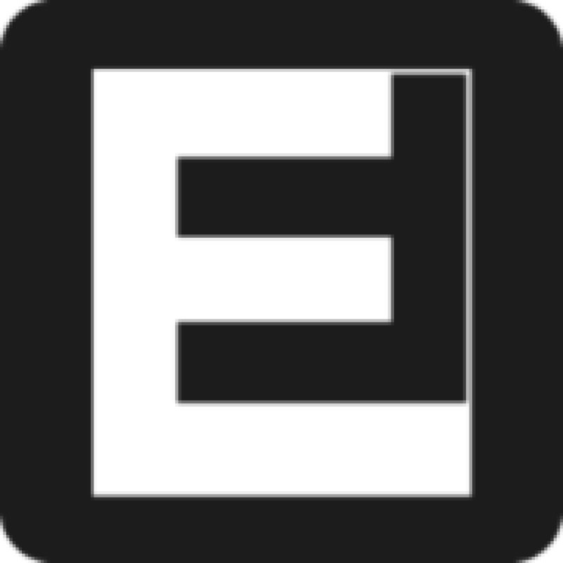 ESforce Holding logo