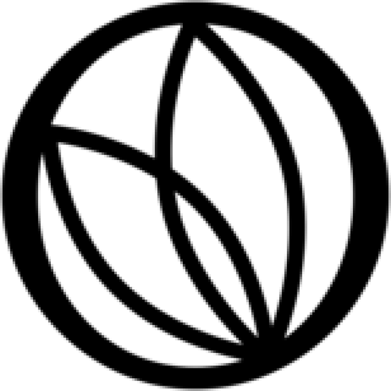 BELFASO logo