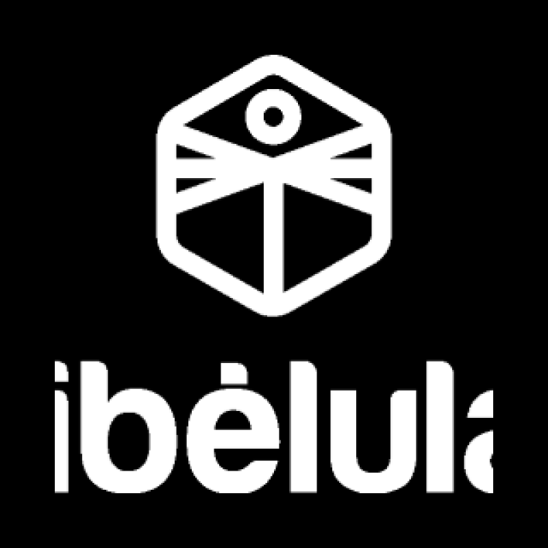 Libélula logo