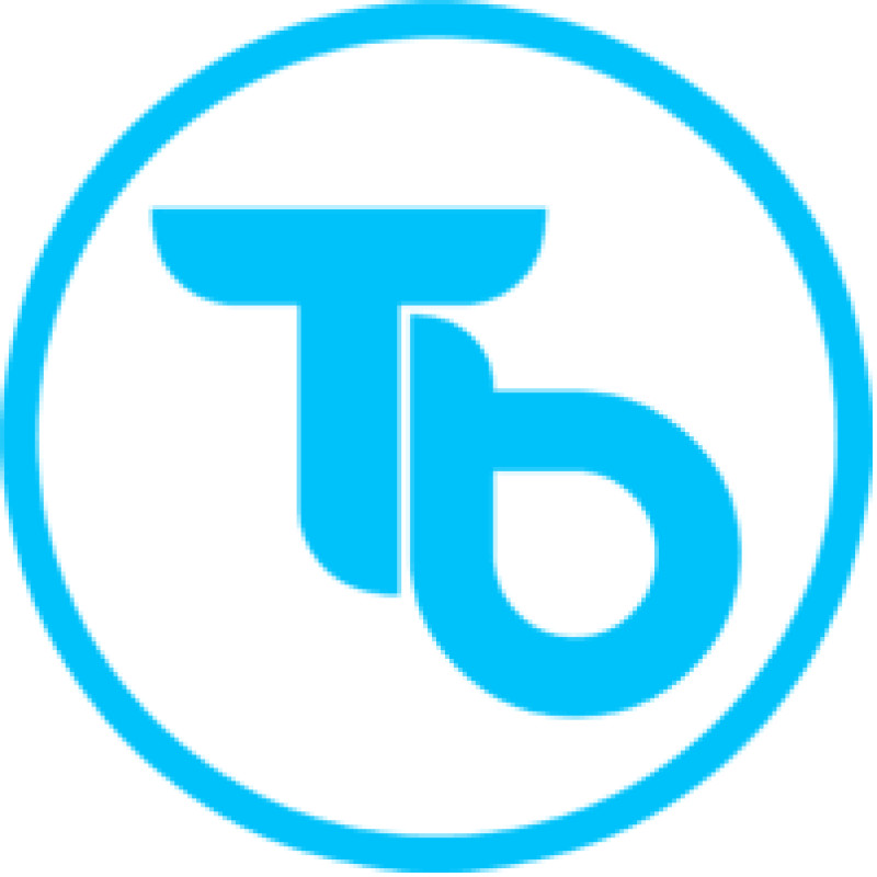 Terabit Digital logo
