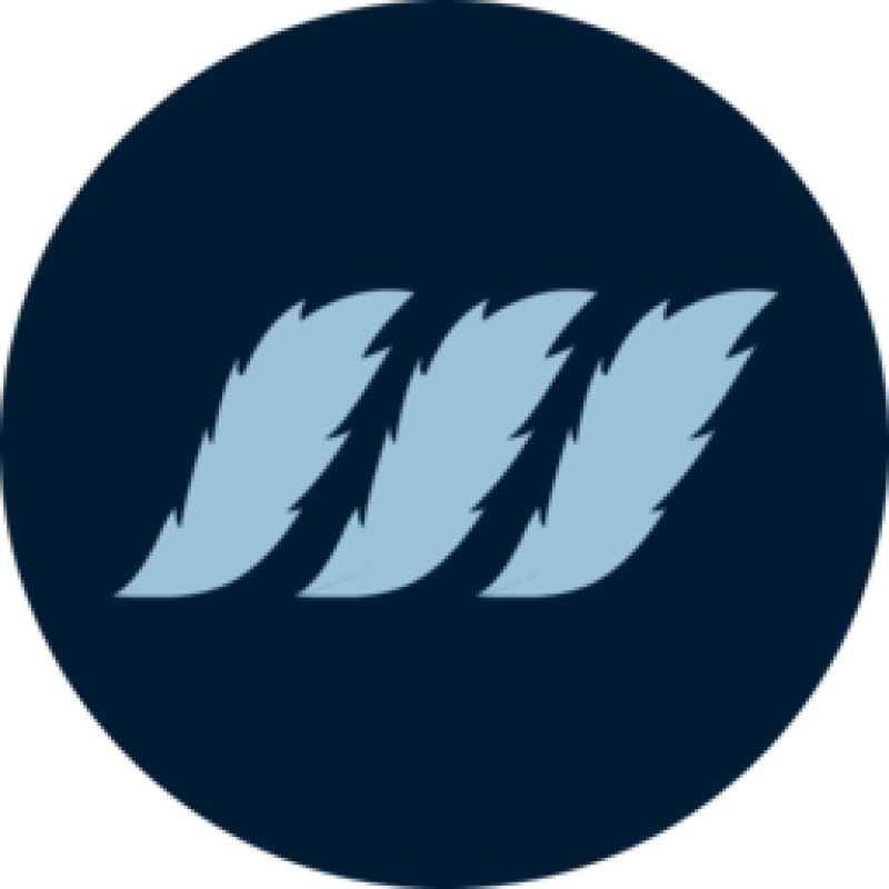 Mintpay logo