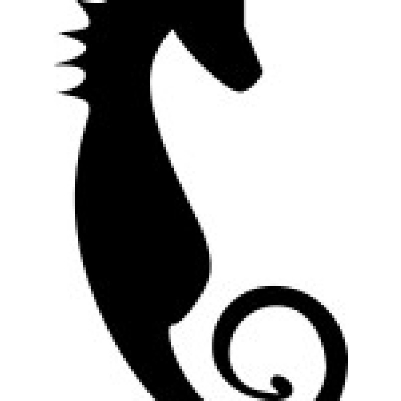 Hippocampus Magazine - Creative Nonfiction Published Monthly logo