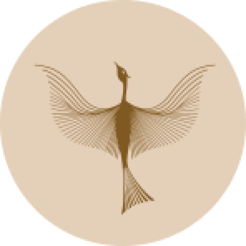 SVOBODA GROUP logo