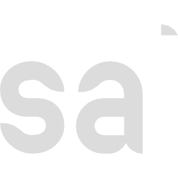 Salini SRL logo
