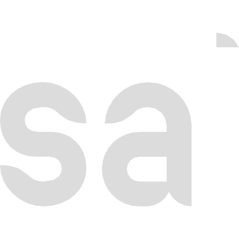 Salini SRL logo
