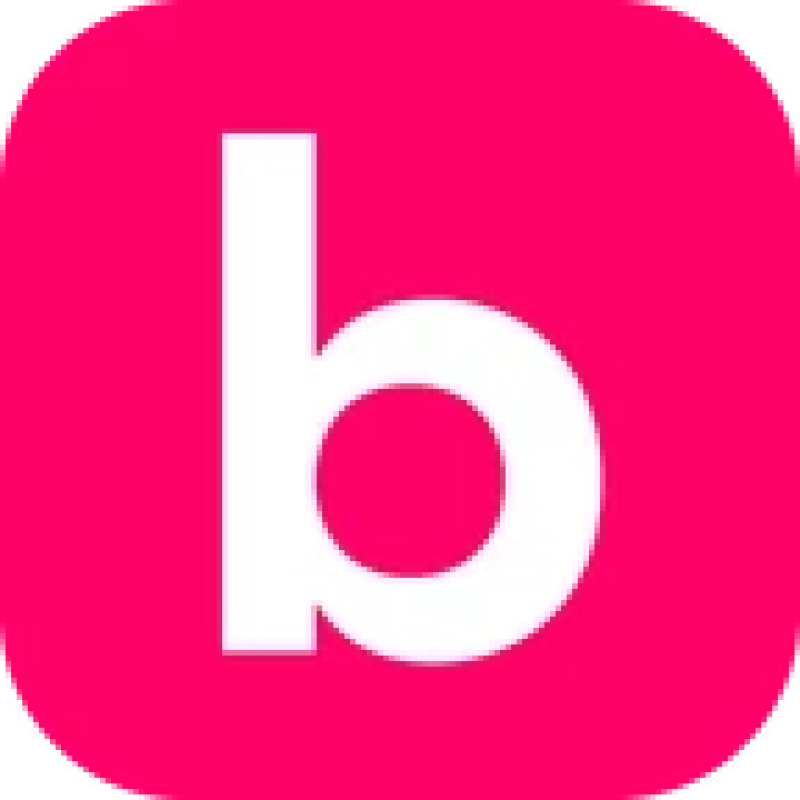 Bidzaar logo