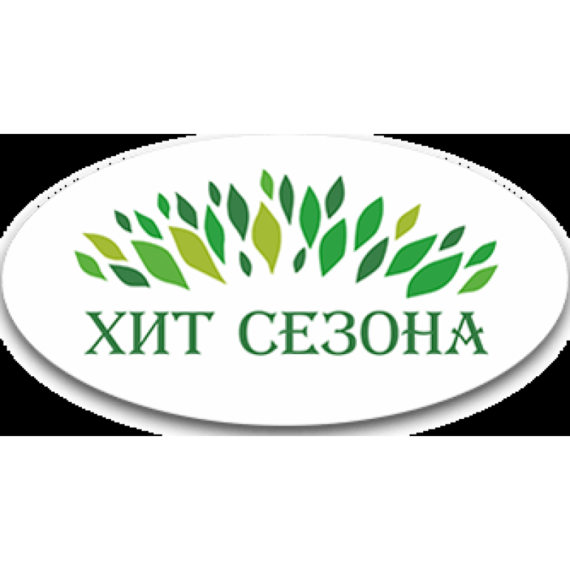 Hitseason logo