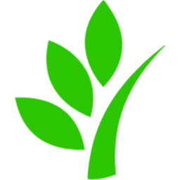 Greenwood International School logo