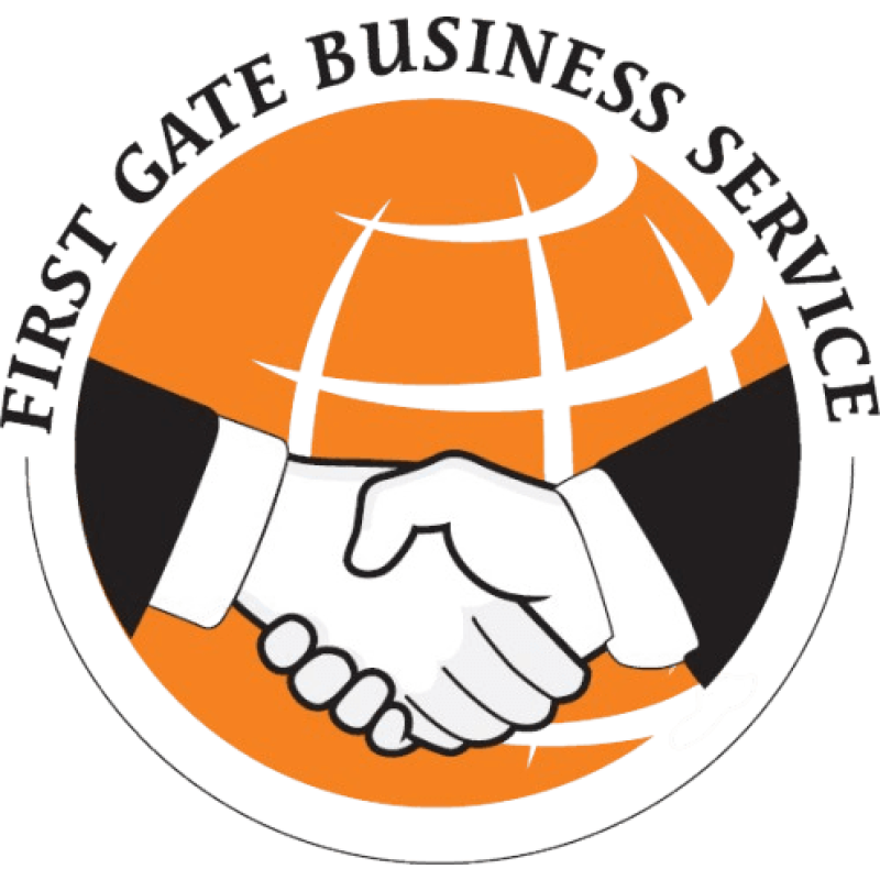 visaprocess logo