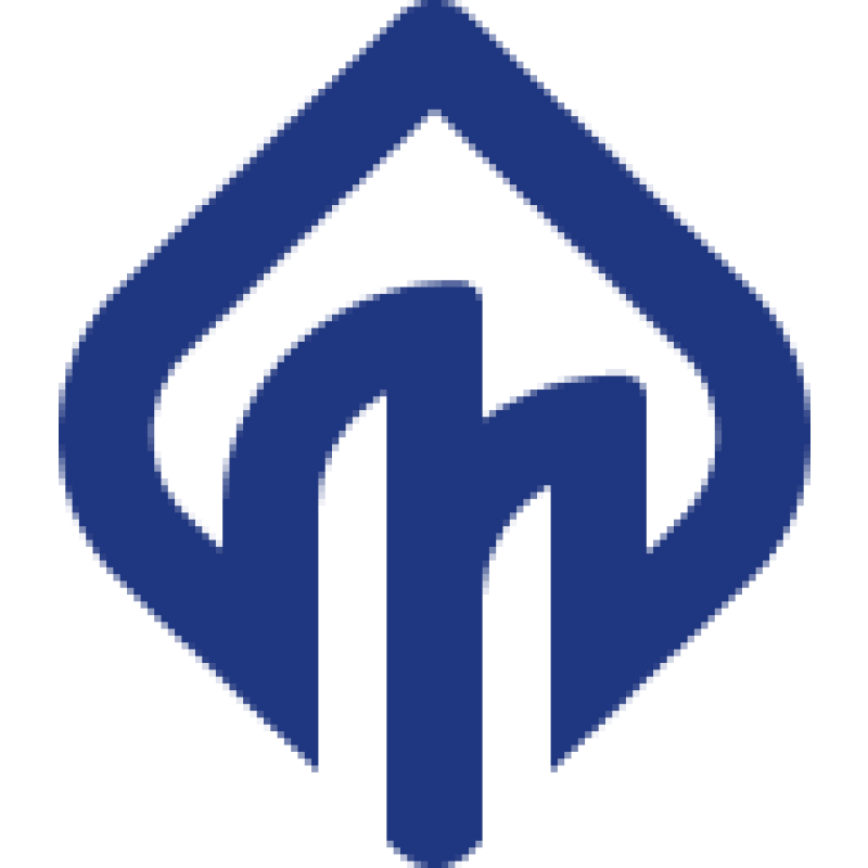 Skyway logo