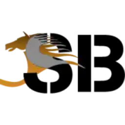 Belhasa Driving Center logo