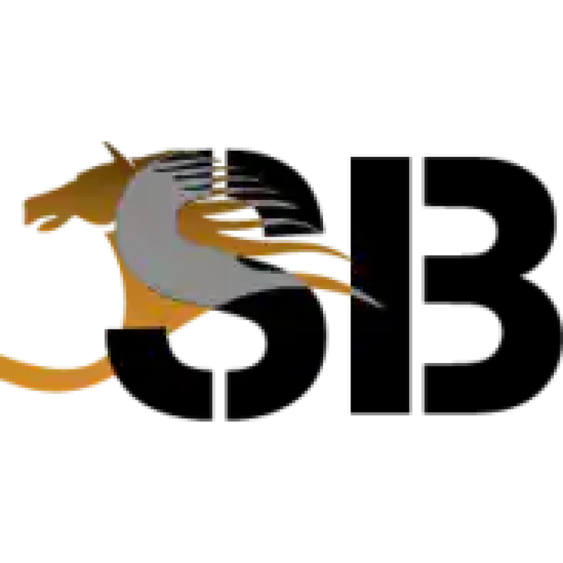 Belhasa Driving Center logo