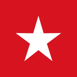 Novochag logo