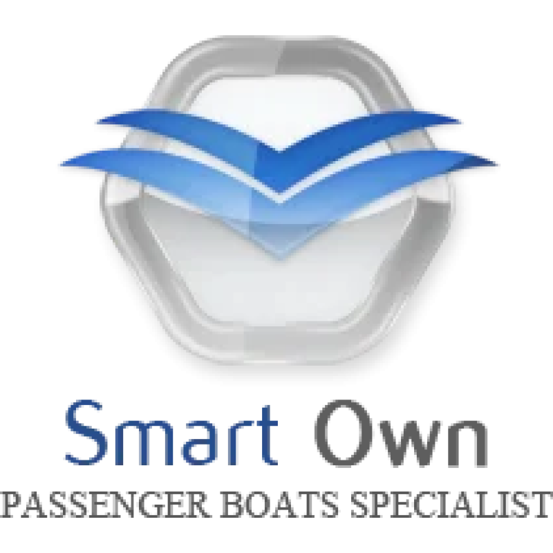 SMART OWN logo