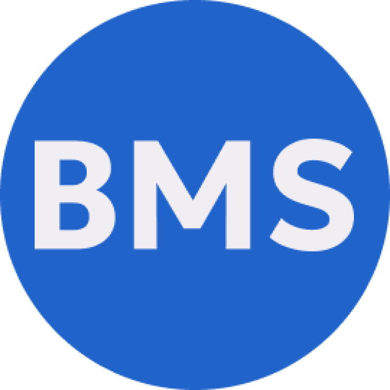 Bmsgroup logo