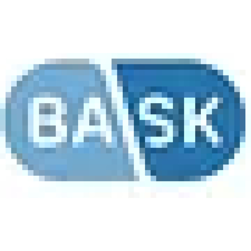 Bask Health logo