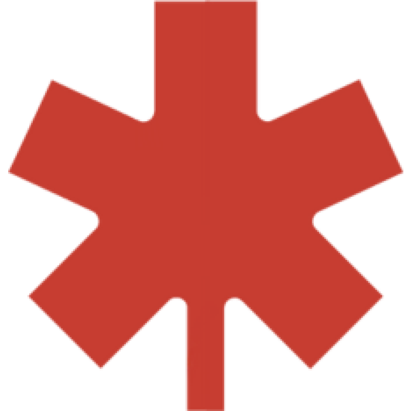 Pro.StartUp logo