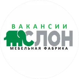 Mfslon logo