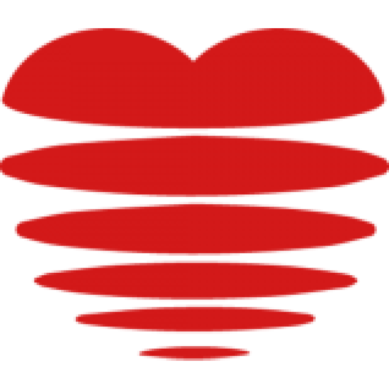 Pudahuel logo