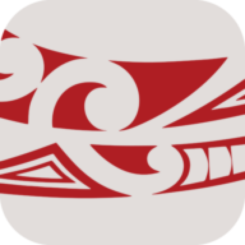 Waatea News: Māori Radio Station logo