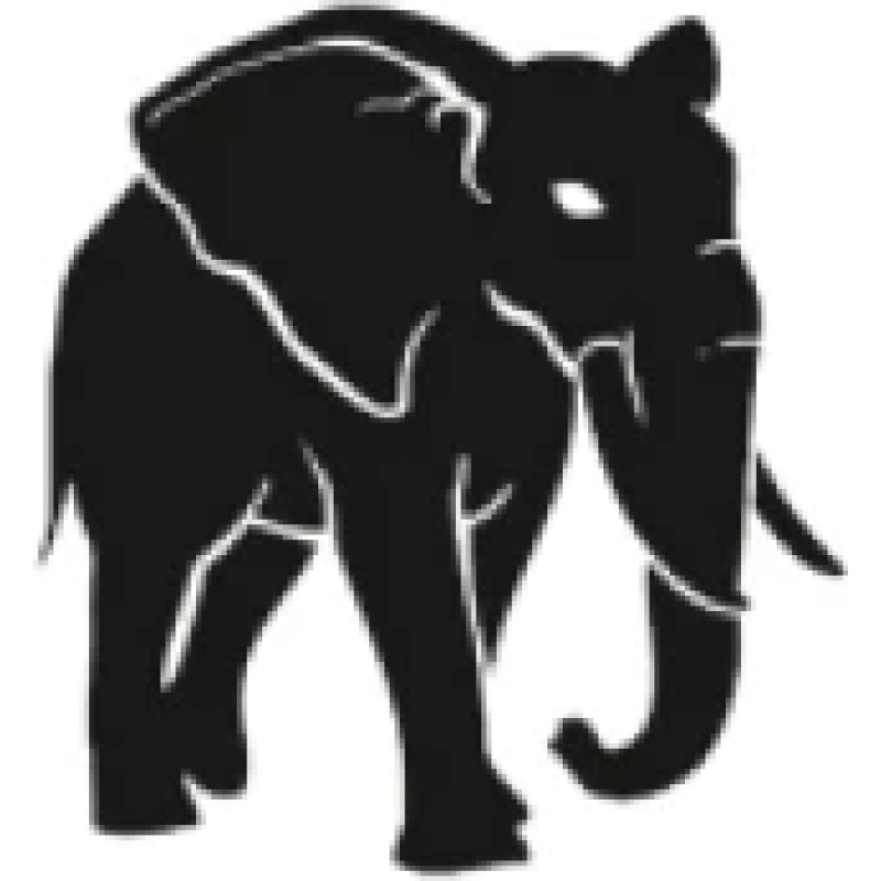 Slone logo