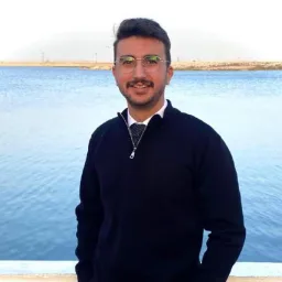 Alaa Eisa photo