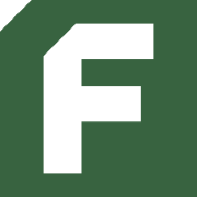 Finframe logo