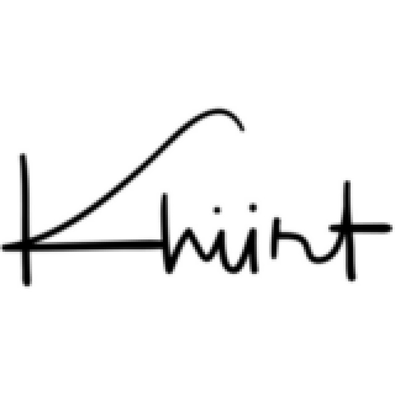 Island in the Net logo