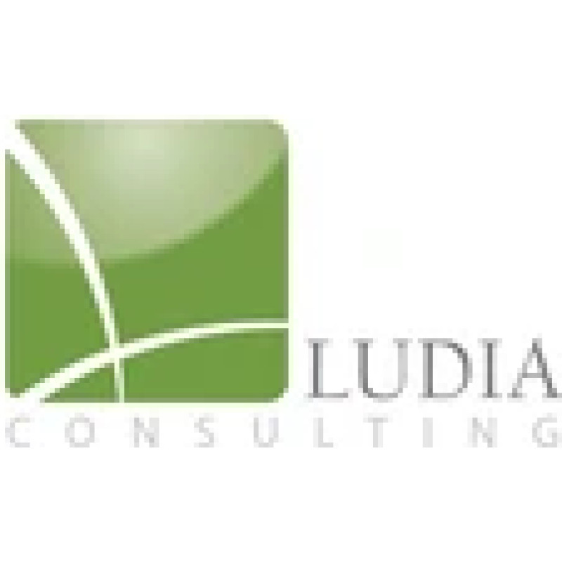 Ludia Consulting logo