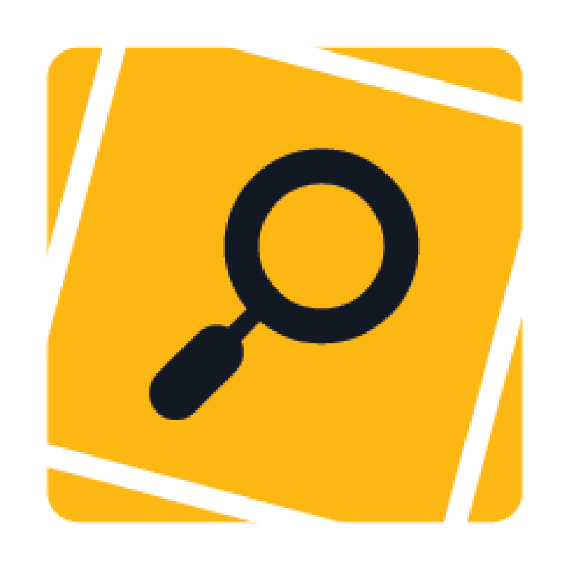 Intnetpartner logo