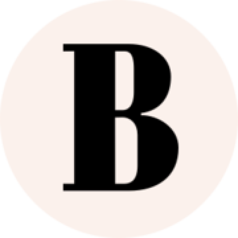 Vedomosti Spb logo