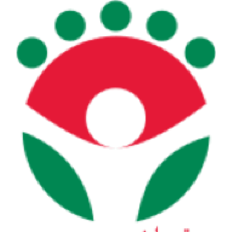 Brilliant International Private School logo