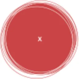 Colexio Profesional de Xornalistas de Galicia logo