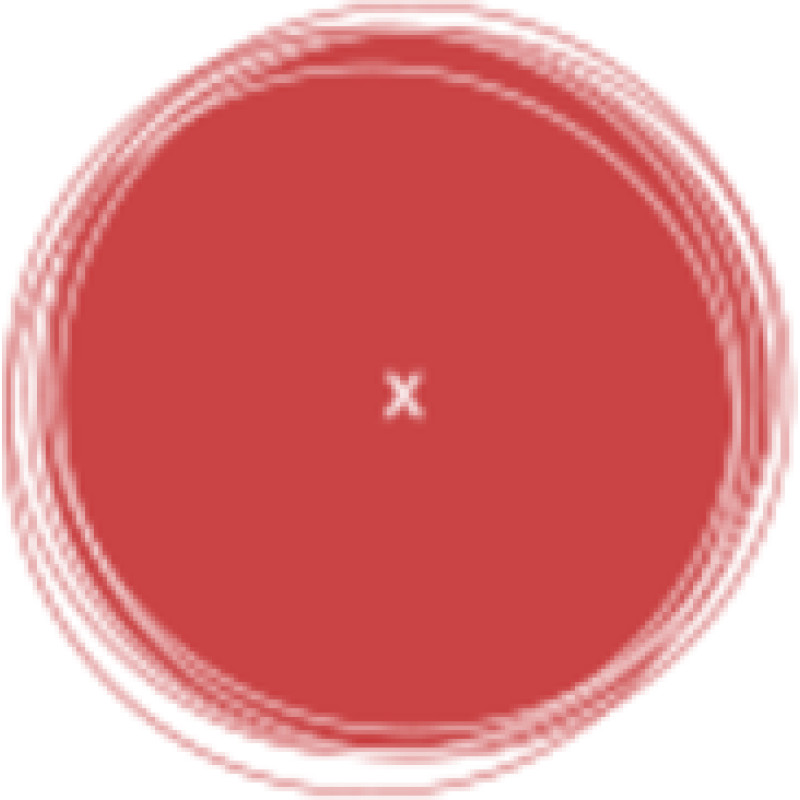 Colexio Profesional de Xornalistas de Galicia logo