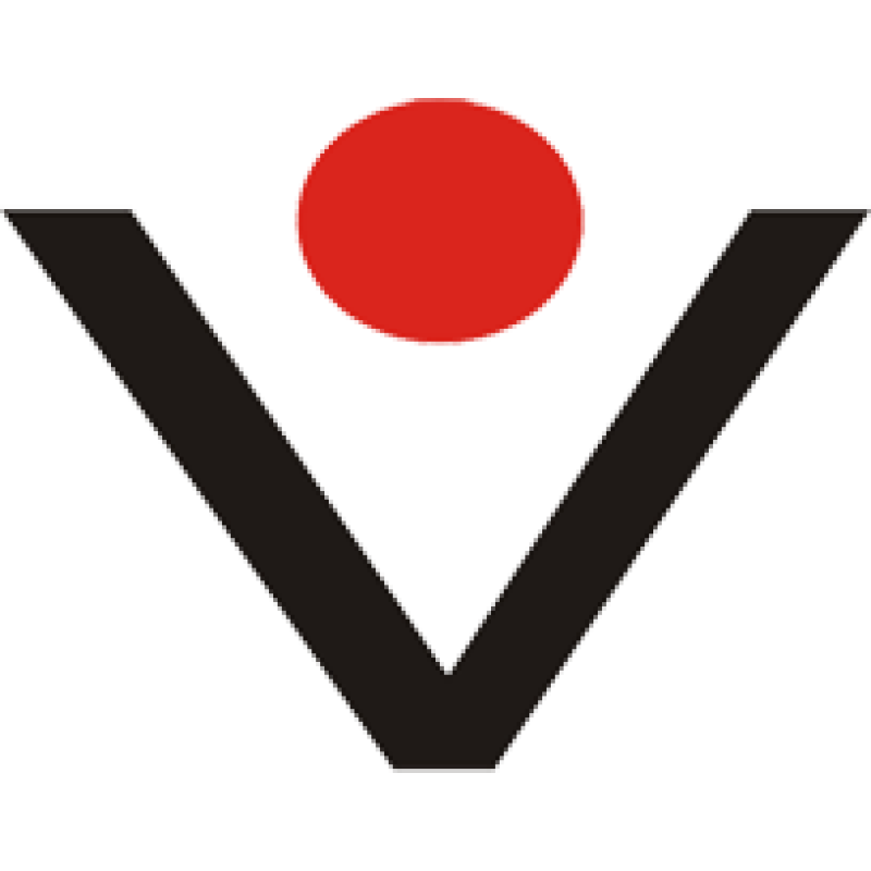 Vto logo