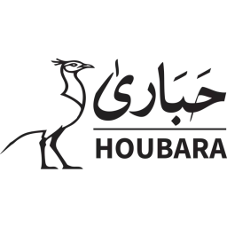 Houbara logo