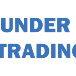 THUNDER TECHNICAL SERVICES logo